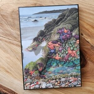 Small Linda Heslop Coastal Tide Pool Art Wood‎ Print